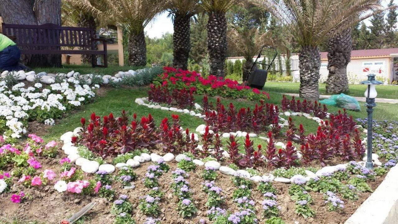 Gepflegte Gartenanlage Pirate's Beach Club