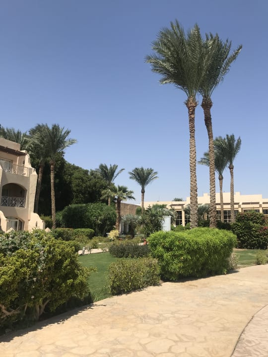 Gartenanlage Prima Life Makadi Resort