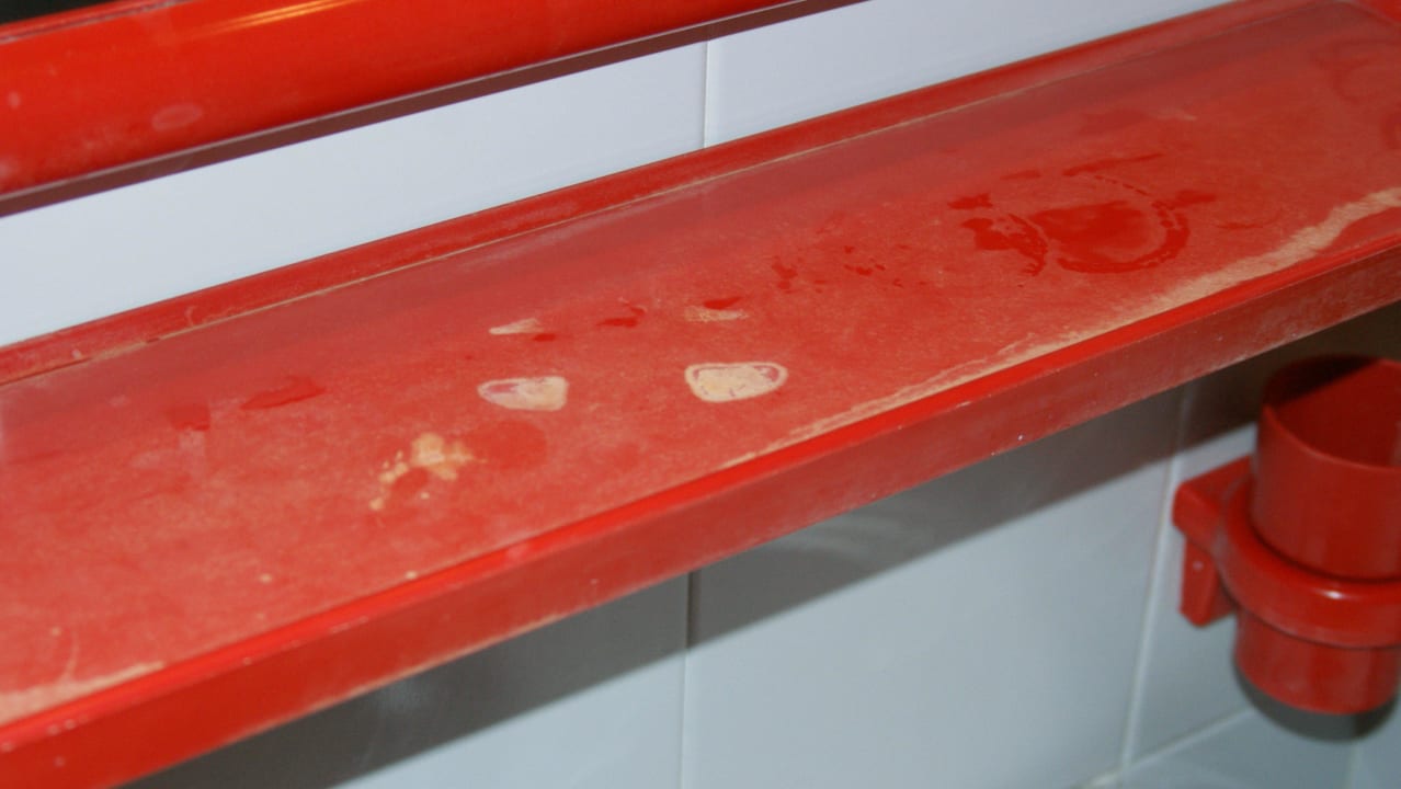 Bad Apartments Accademia