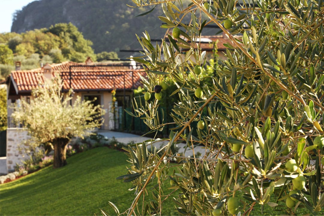 Entrata B&B Miramonti Iseo Miramonti Room & Breakfast