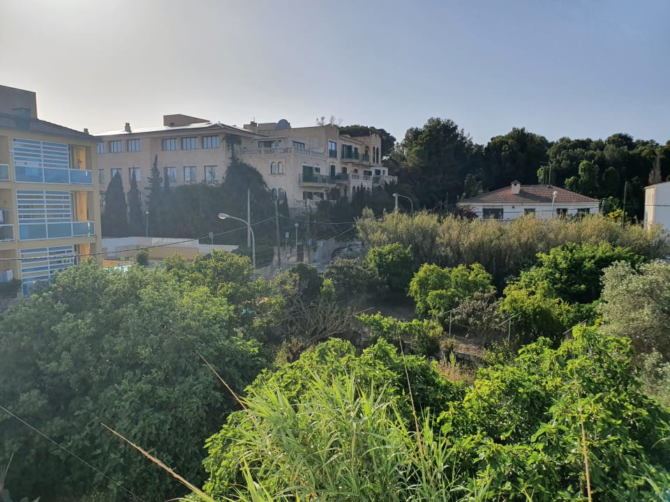 Ausblick THB Dos Playas - Adults only