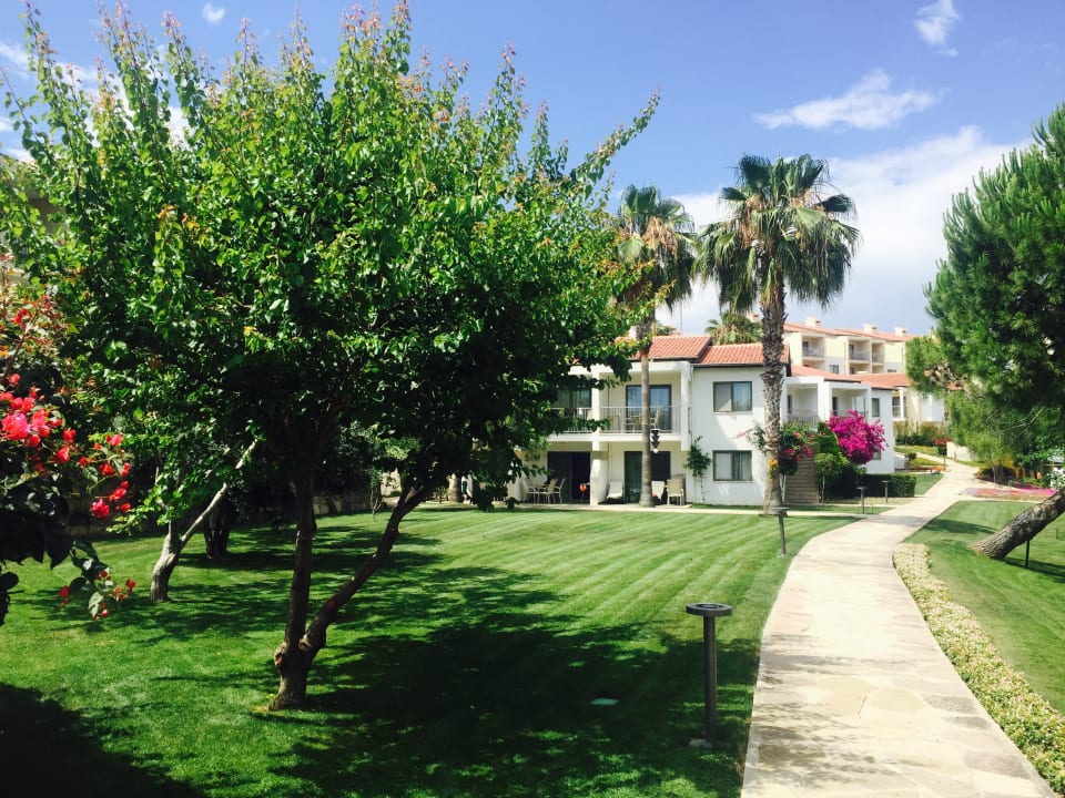Gartenanlage Arum Barut Collection