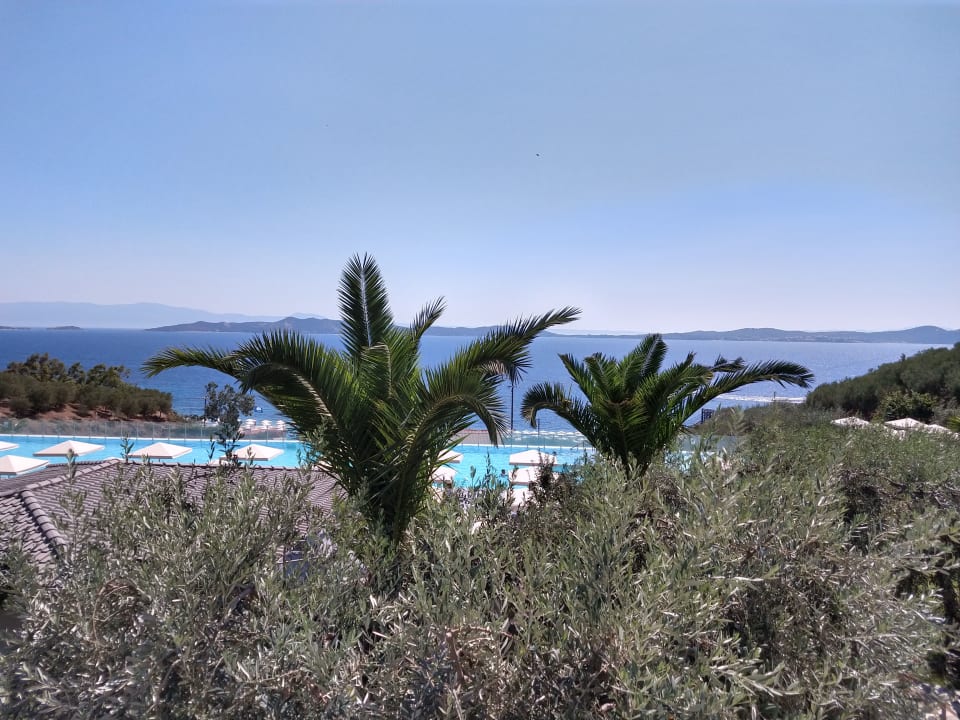 Ausblick Akrathos Beach Hotel