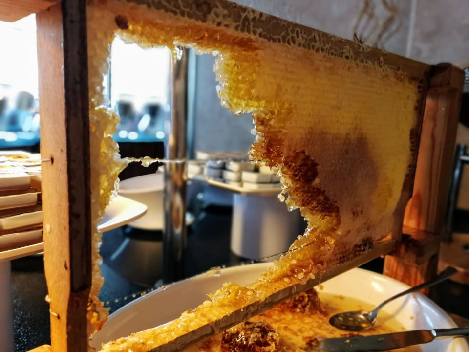 Gastro Saphir Resort & Spa