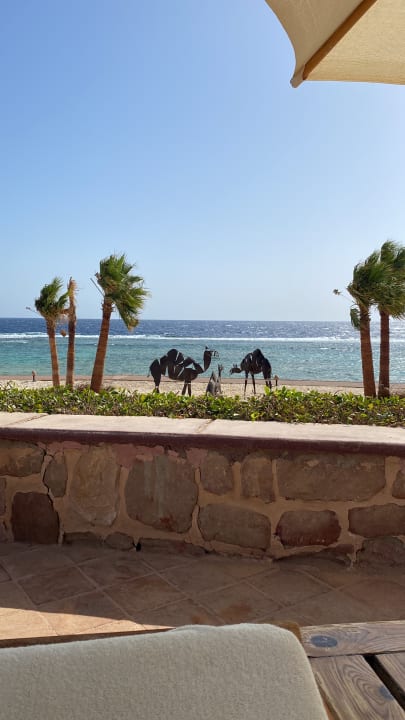 Ausblick Mövenpick Resort El Quseir