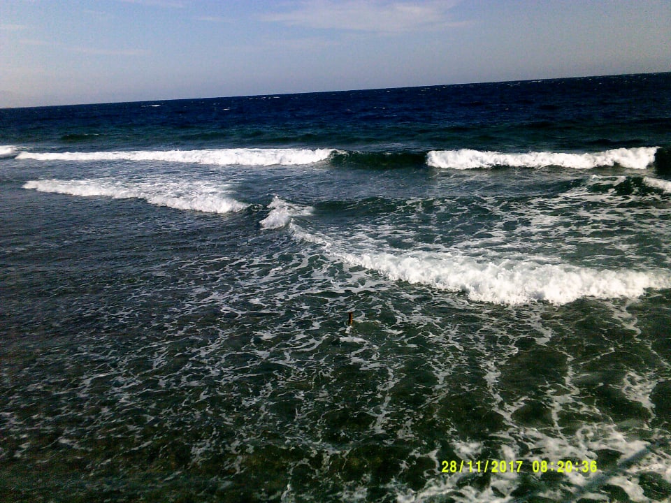 Strand Pickalbatros Royal Moderna Resort-Sharm El Sheikh