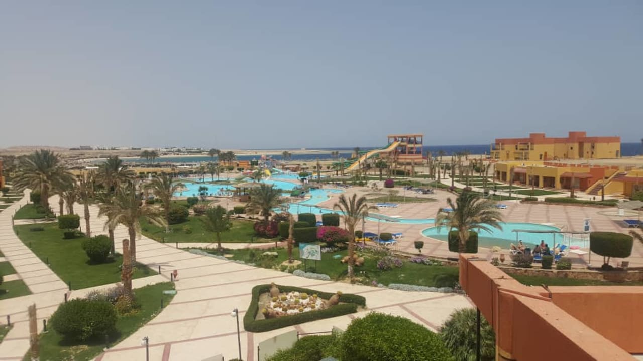Widok na basen Malikia Resort Abu Dabbab