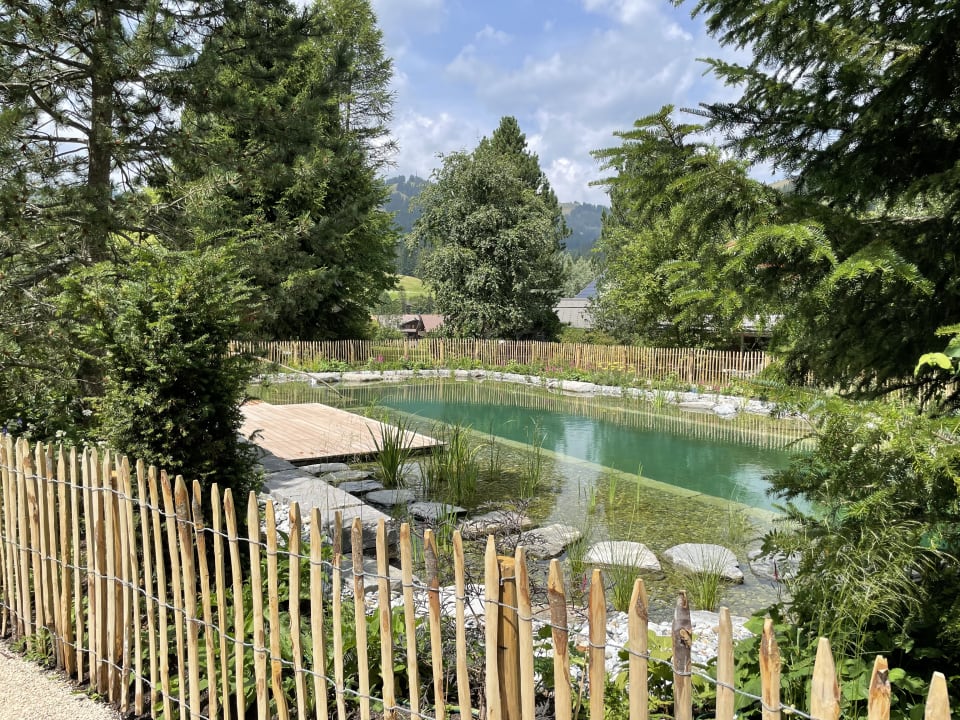 Pool MAISON HORNBERG