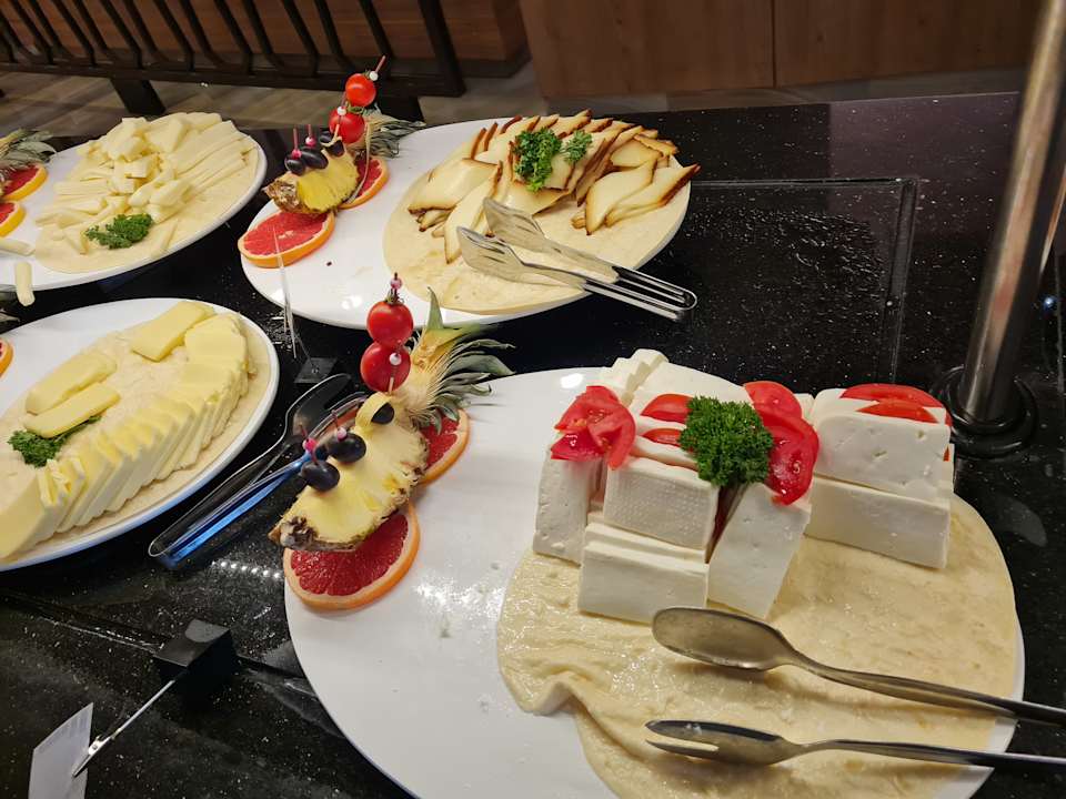 Gastro Delphin BE Grand