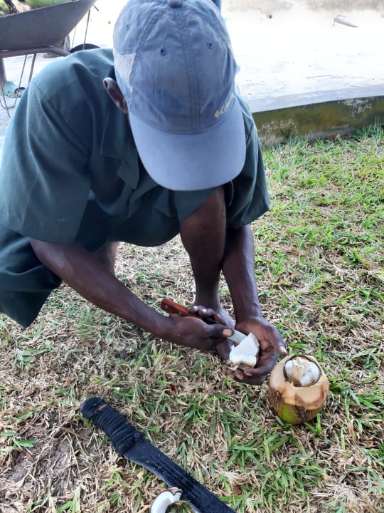 Sonstiges Neptune Paradise Beach Resort & Spa