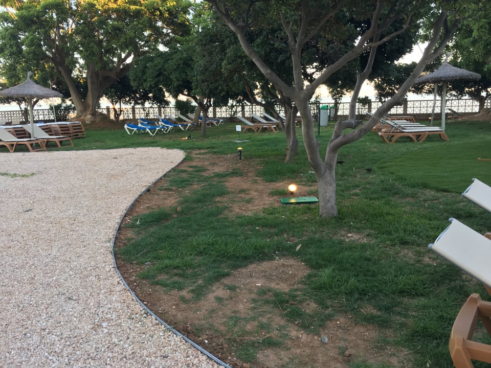 Gartenanlage Alua Calas de Mallorca Resort