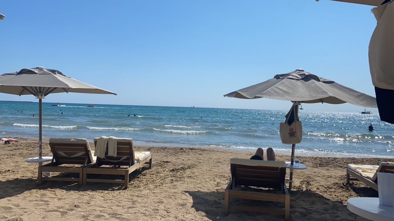 Strand Acanthus Cennet Barut Collection