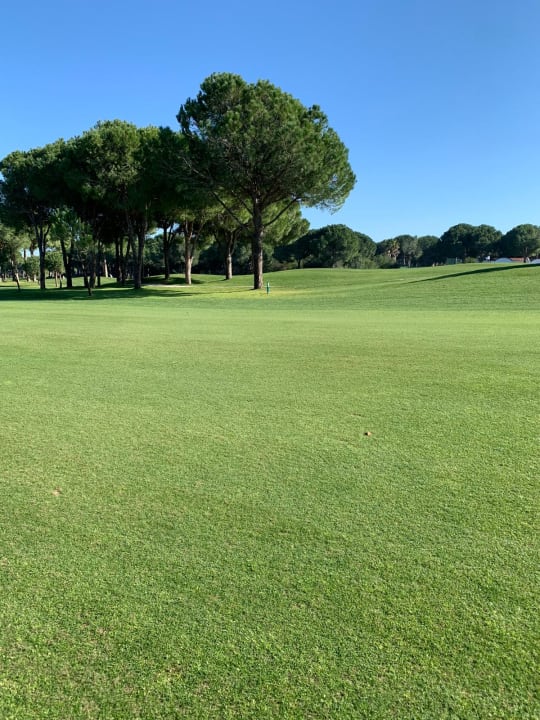 Sport & Freizeit ROBINSON NOBILIS