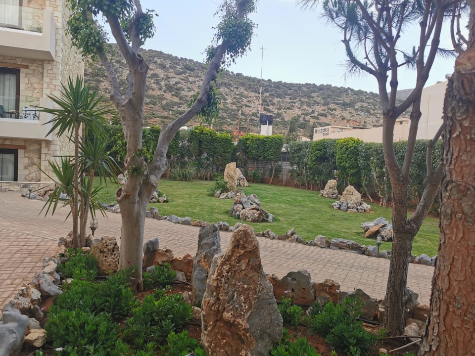 Gartenanlage Cactus Royal