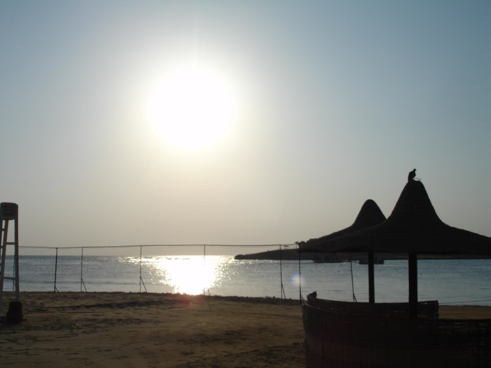 Bucht am Morgen Steigenberger Coraya Beach - Adults only