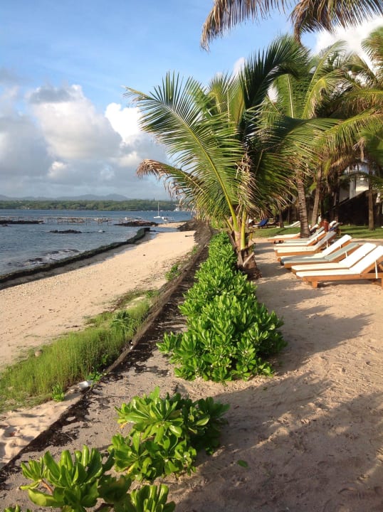 Gartenanlage Tropical Attitude - Adults only