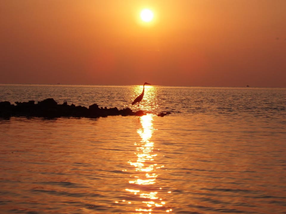 Sonnenuntergang von der Bar aus Summer Island Maldives