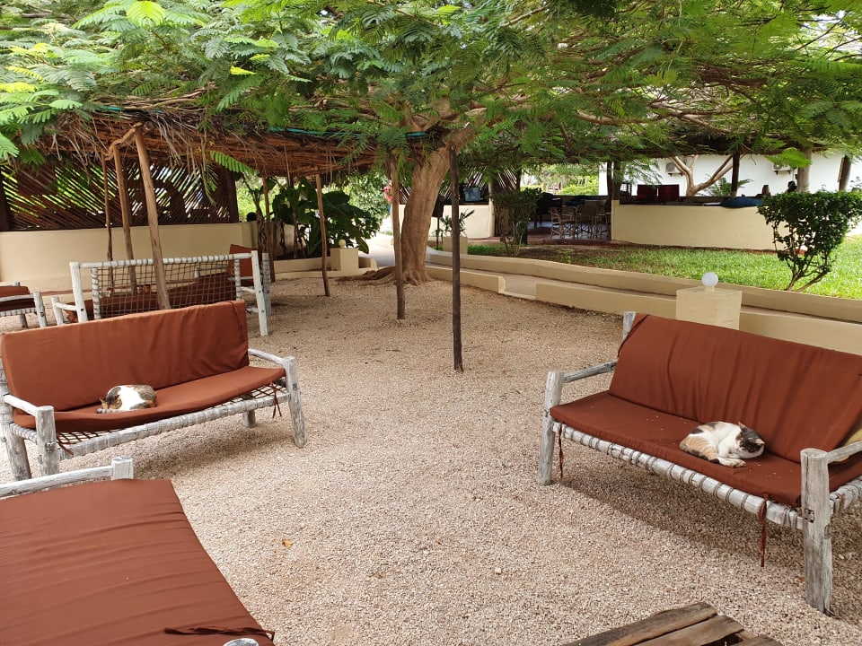 Gartenanlage Reef & Beach Resort