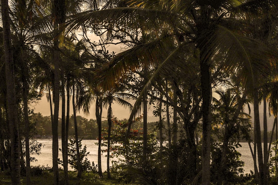 Ausblick Wyndham Alltra Samana