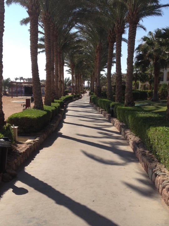 Garten Jaz Mirabel Park & Club