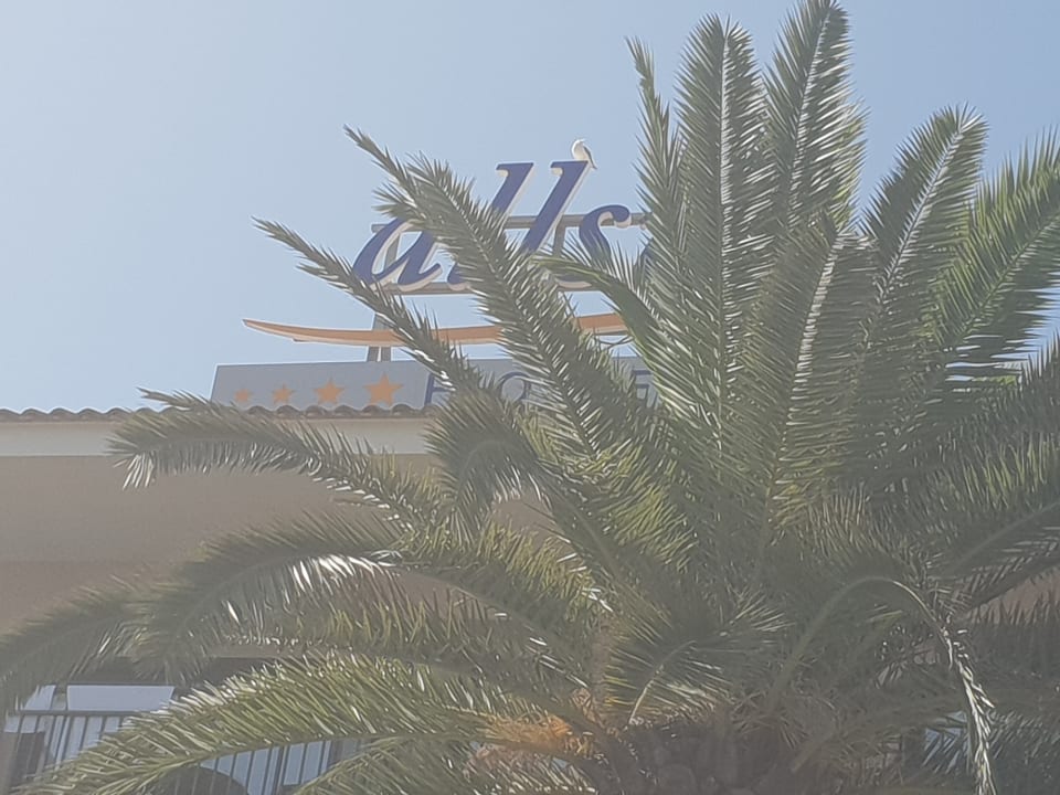 Sonstiges R2 Lago Playa Park