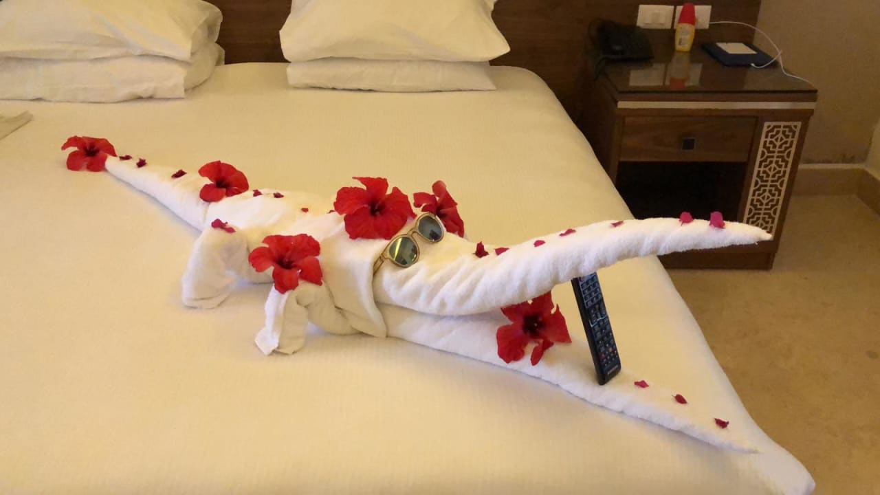 Zimmer Pickalbatros Sea World Resort - Marsa Alam