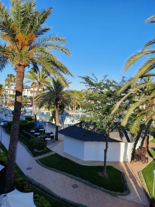 Pool Alcudia Garden Aparthotel