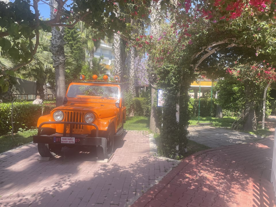 Gartenanlage Hane Family Resort