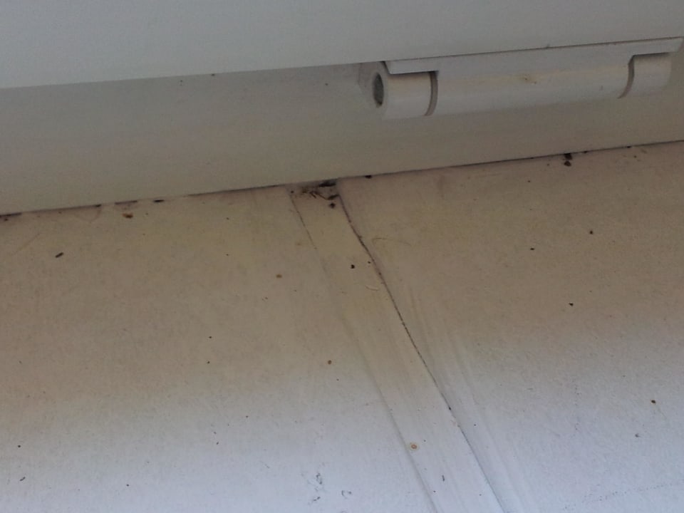 Fensterbank direkt überm Bett Malge Gasthaus Am See