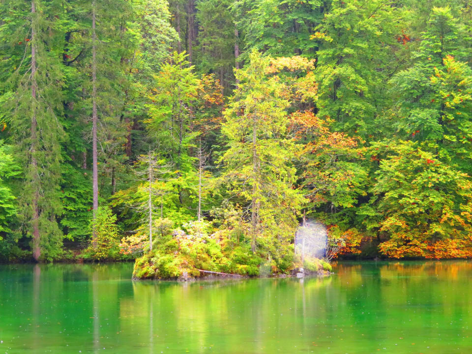 Romantischer See beim Hotel Hotel Am Badersee