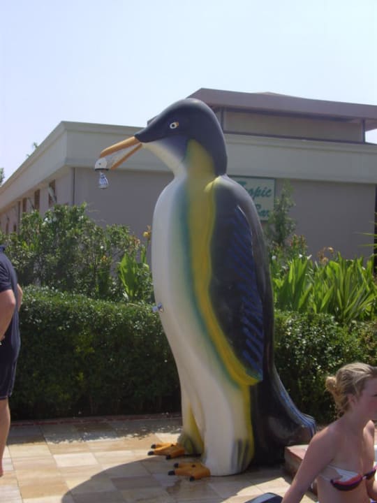 Pinguindusche Hane Family Resort