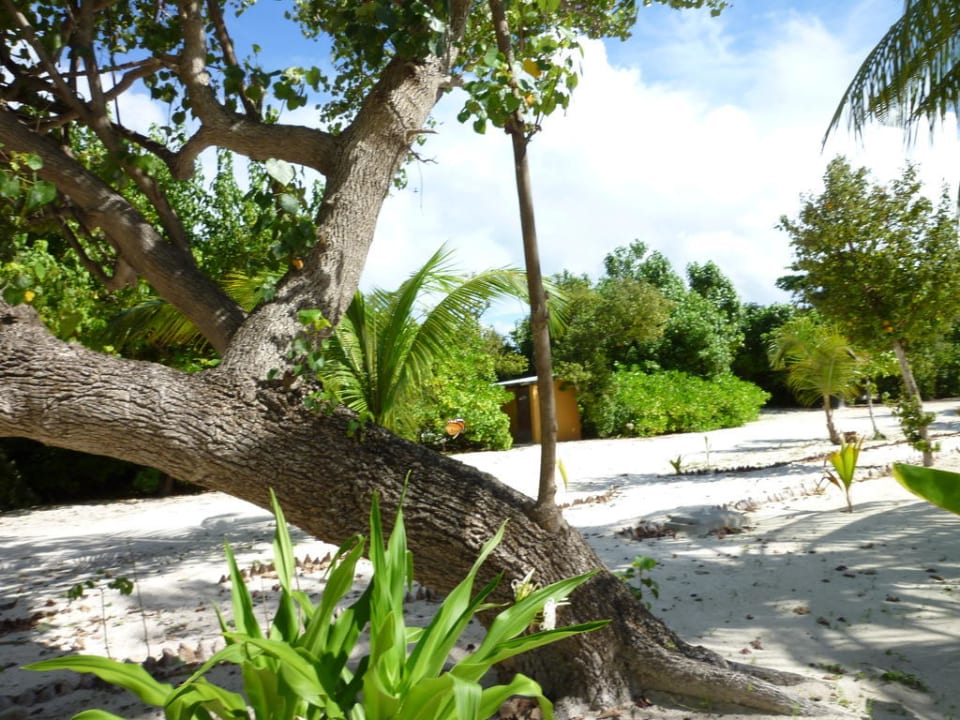 Kuredus Wege Kuredu Island Resort & Spa