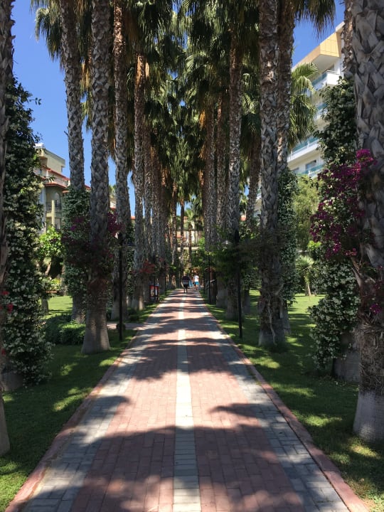 Außenansicht Hotel Gardenia Beach