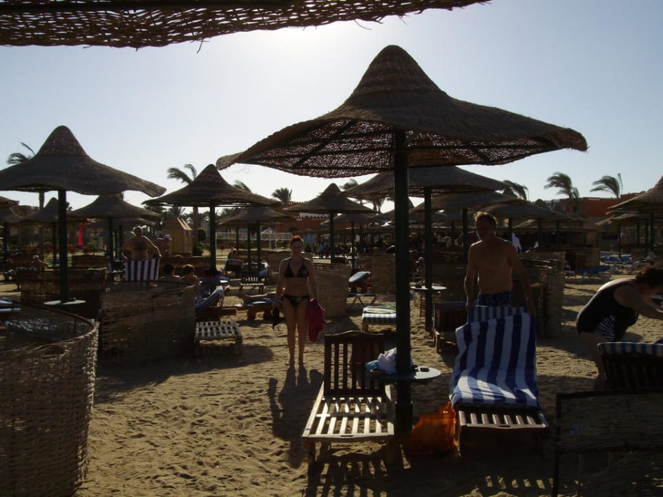 Urlaub Dezember 2010 SUNRISE Garden Beach Resort