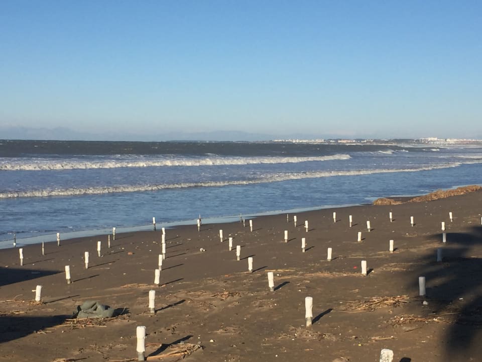 Strand Side Star Beach