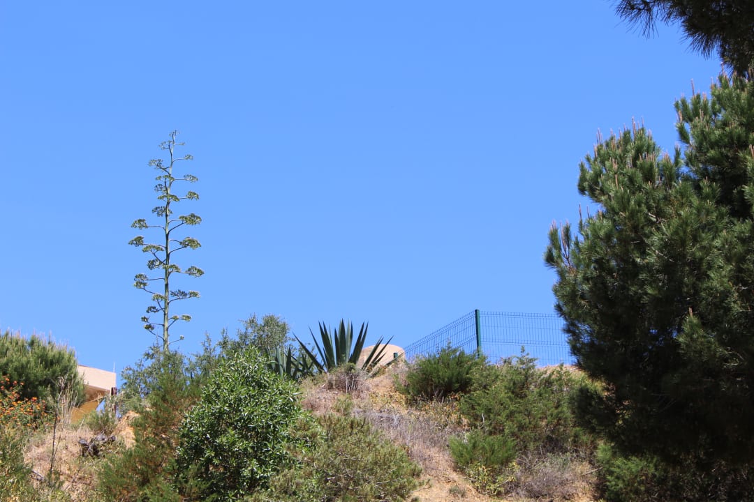 Strand PortoBay Falésia