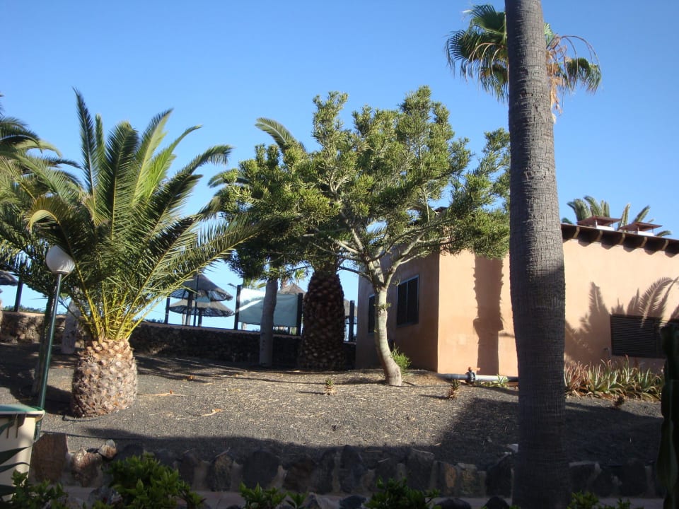 Blick hoch zum Pool Hotel Oasis Dunas