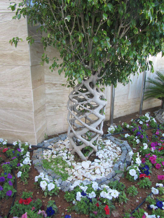 Hotel Alva Donna Exclusive Dobedan Exclusive Hotel And Spa