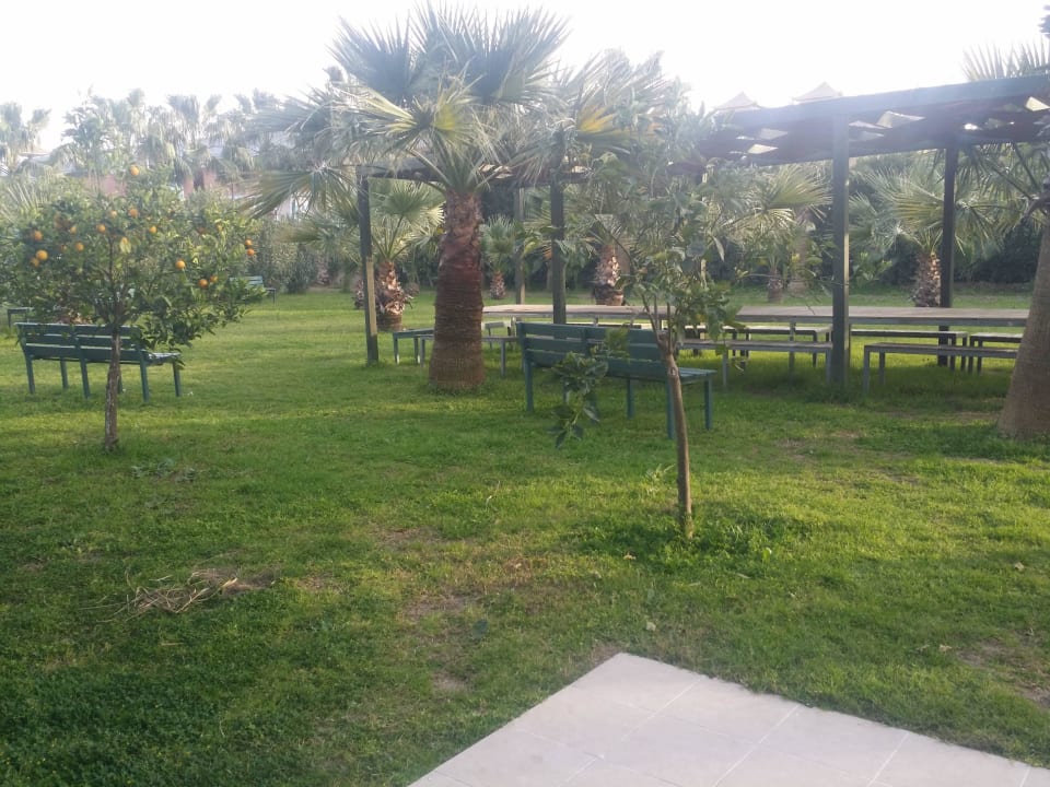 Mit minnigolf Hane Family Resort