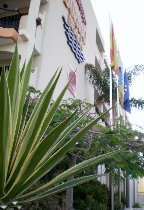 Dorado Beach Bull Dorado Beach & Spa