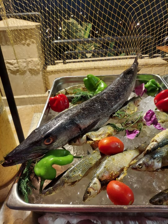 Gastro Malikia Resort Abu Dabbab