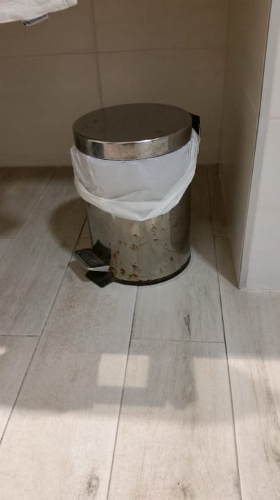 Zimmer Alcudia Garden Aparthotel