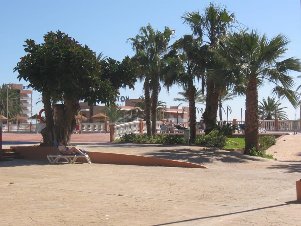 Gartenanlage Hotel Best Siroco