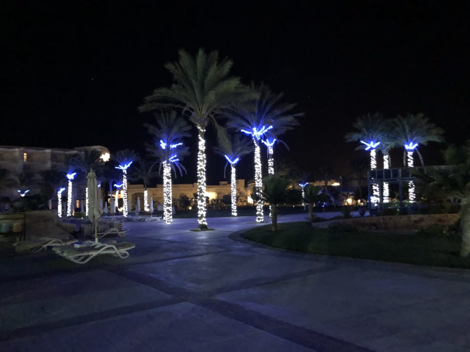 Gartenanlage Palm Royale Resort - Soma Bay