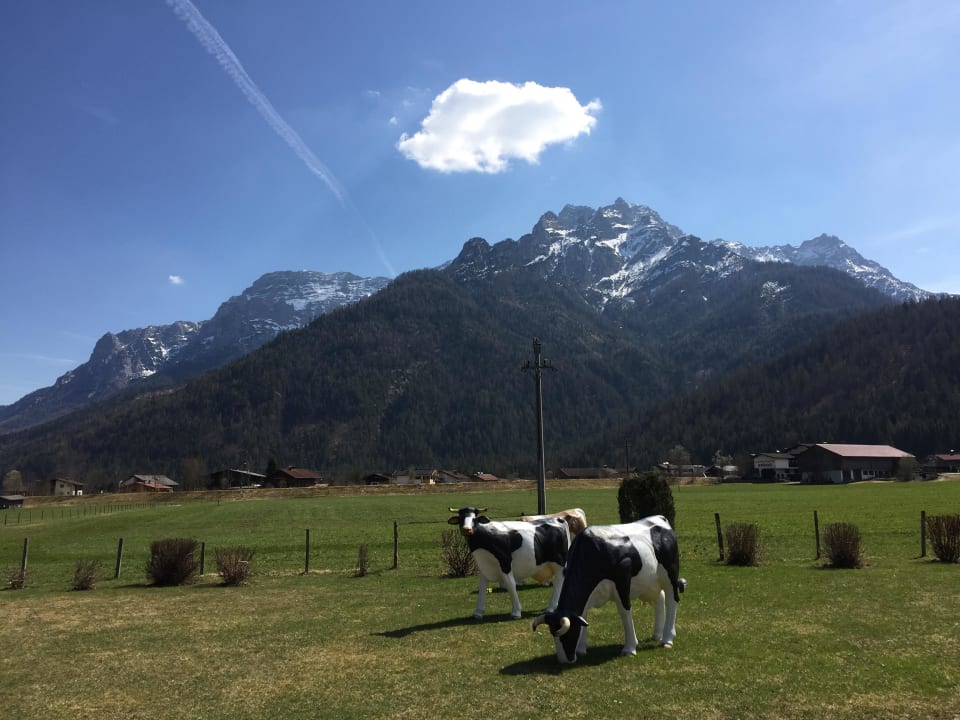 Überall Kühe elaya hotel steinplatte