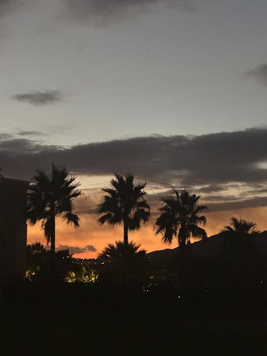 Gartenanlage Delfina Tropic Beach