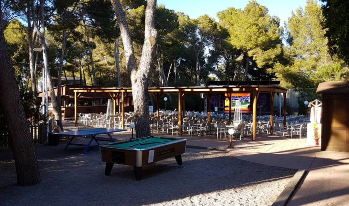 Gartenanlage Iberostar Waves Pinos Park