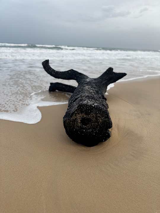 Strand Oceana Hotel & Spa