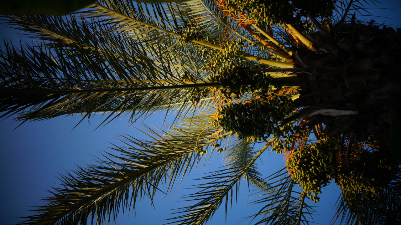 Sonstiges Crystal Family Comfort Collection