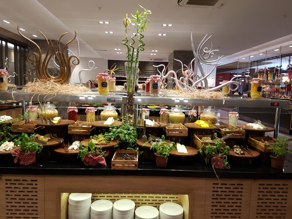 Gastro Seashell Vega